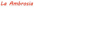 La Ambrosia Queremos llevarte a la cima del Monte Olimpo, con nuestra hamburguesa artesanal, Ambrosía hecha para los Dioses y servida en tu mesa, nuestra carne hecha 100% de chata de res sobre pan brioche, acompañada de panceta de cerdo caramelizada en salsa teriyaki de cerveza, vegetales frescos y nuestra deliciosa tártara de jalapeño. Nuestra hamburguesa no te otorgará la inmortalidad, pero sin duda te acercará a la iluminación.